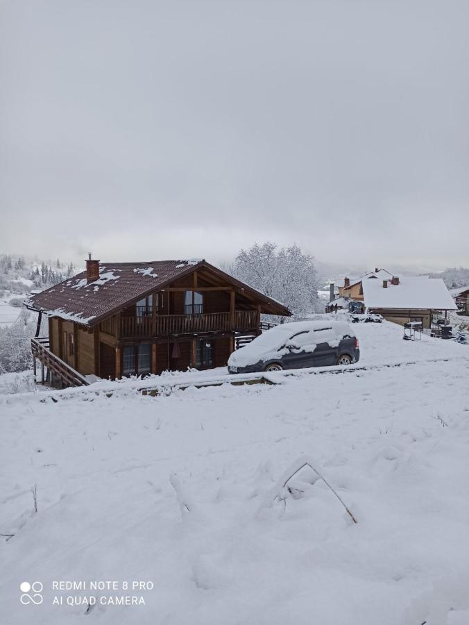 Cottage Kurshevel Slavske Eksteriør billede