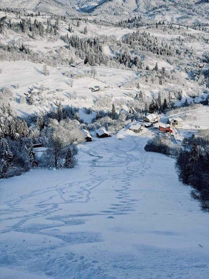 Cottage Kurshevel Slavske Eksteriør billede